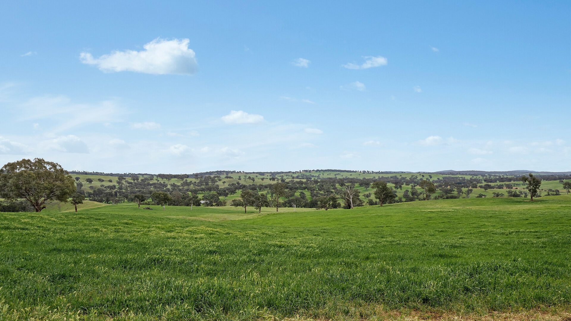 Sold - 5902 Mitchell Highway - New Property in Molong - Real Estate by Scott Petersen