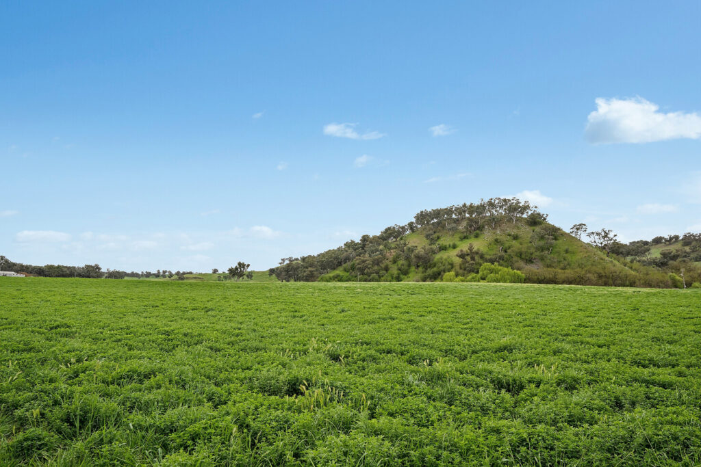 Sold - 5902 Mitchell Highway - New Property in Molong - Real Estate by Scott Petersen