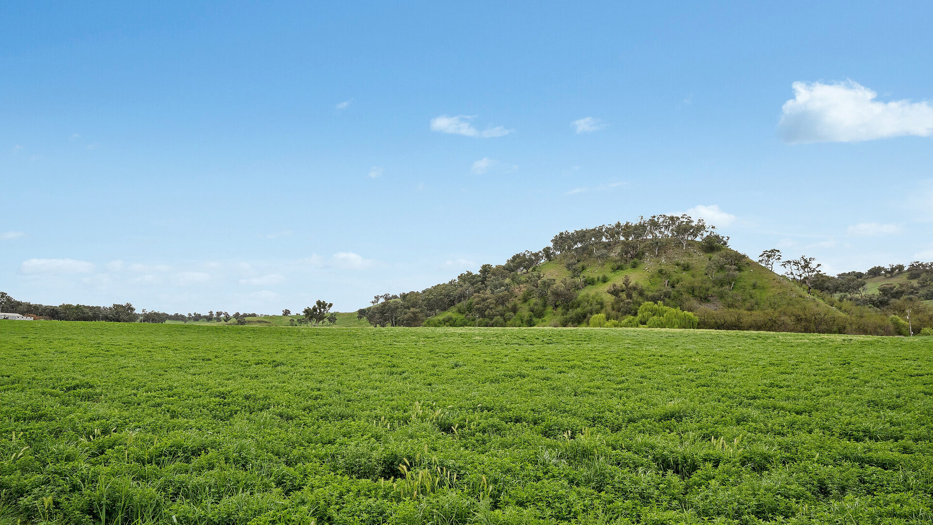 Sold - 5902 Mitchell Highway - New Property in Molong - Real Estate by Scott Petersen
