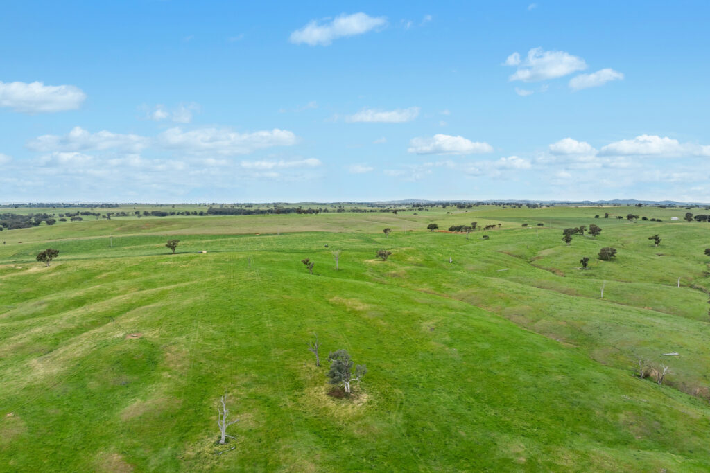 Sold - 5902 Mitchell Highway - New Property in Molong - Real Estate by Scott Petersen