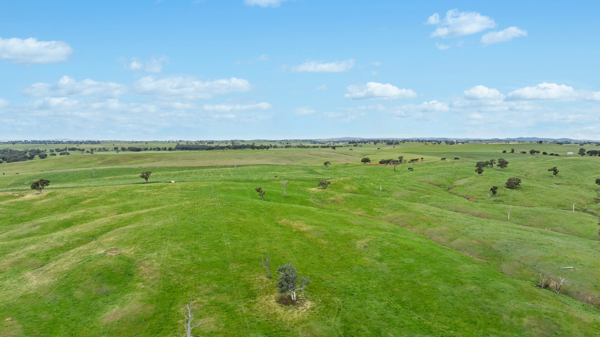 Sold - 5902 Mitchell Highway - New Property in Molong - Real Estate by Scott Petersen