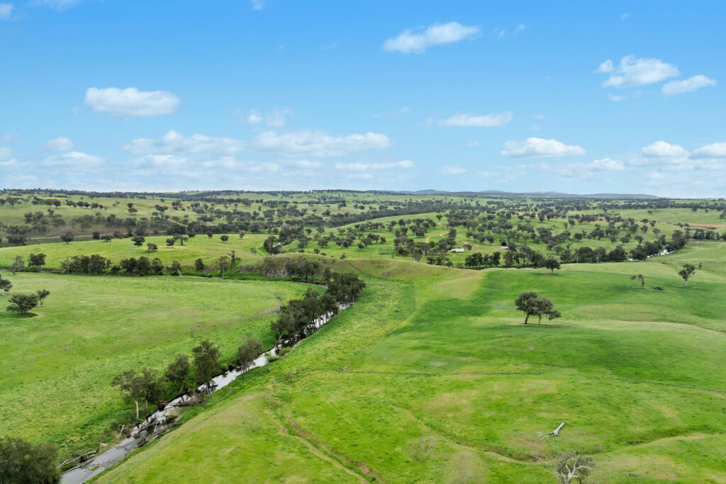 Sold - 5902 Mitchell Highway - New Property in Molong - Real Estate by Scott Petersen