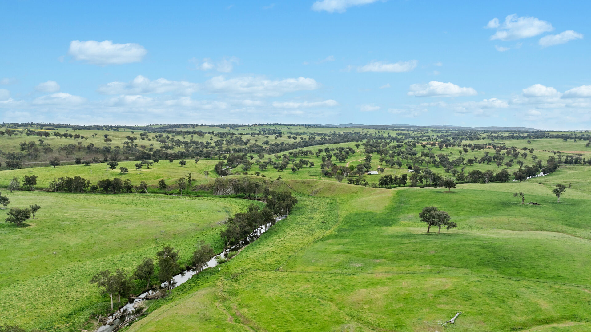 Sold - 5902 Mitchell Highway - New Property in Molong - Real Estate by Scott Petersen