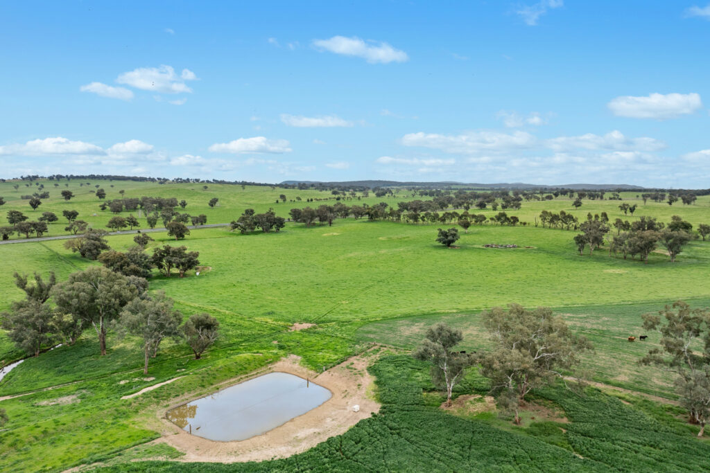 Sold - 5902 Mitchell Highway - New Property in Molong - Real Estate by Scott Petersen