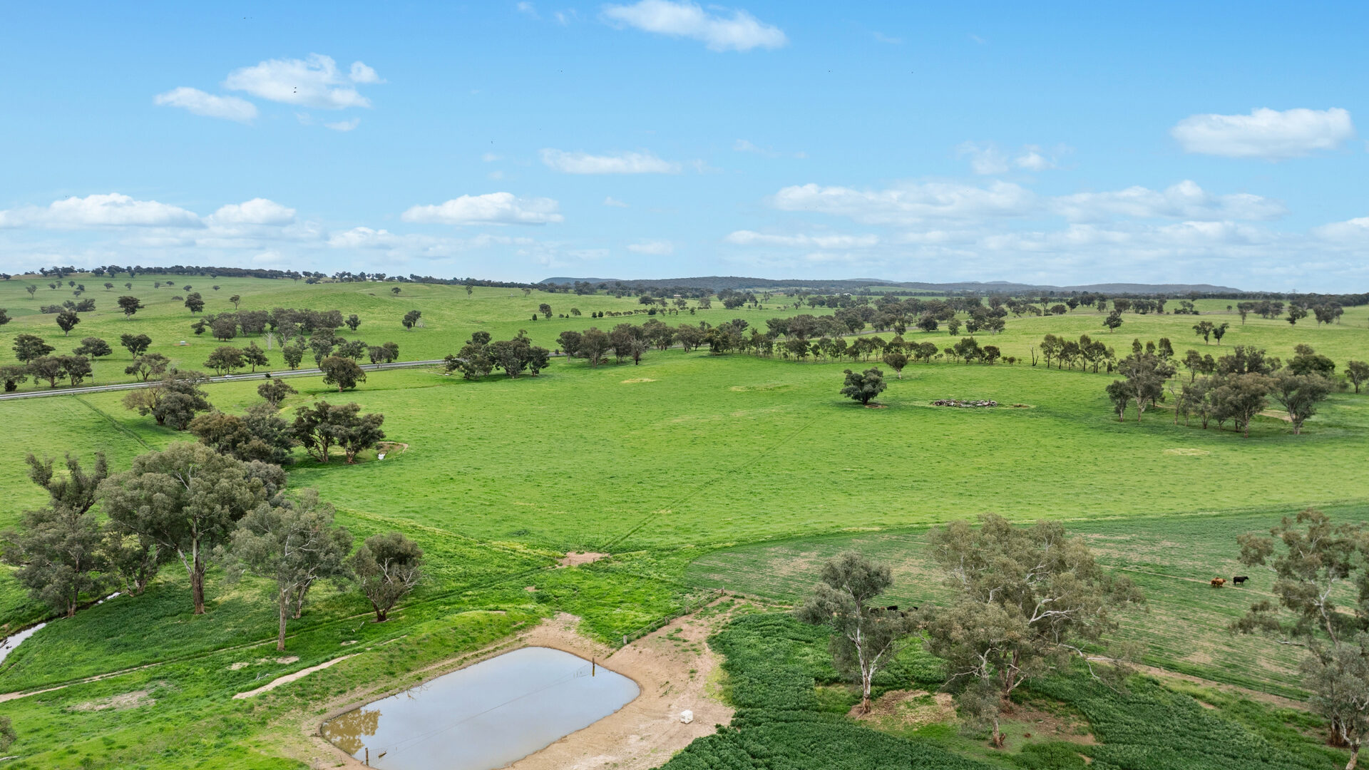Sold - 5902 Mitchell Highway - New Property in Molong - Real Estate by Scott Petersen