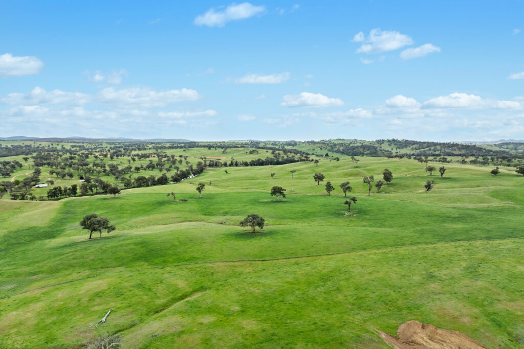 Sold - 5902 Mitchell Highway - New Property in Molong - Real Estate by Scott Petersen