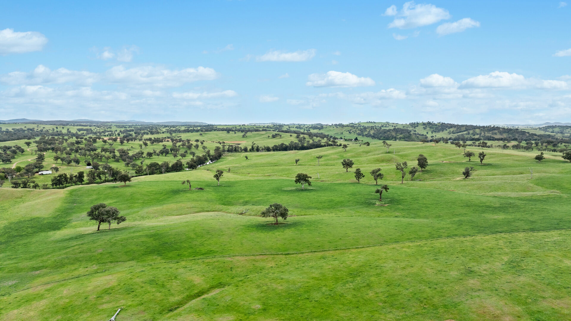 Sold - 5902 Mitchell Highway - New Property in Molong - Real Estate by Scott Petersen