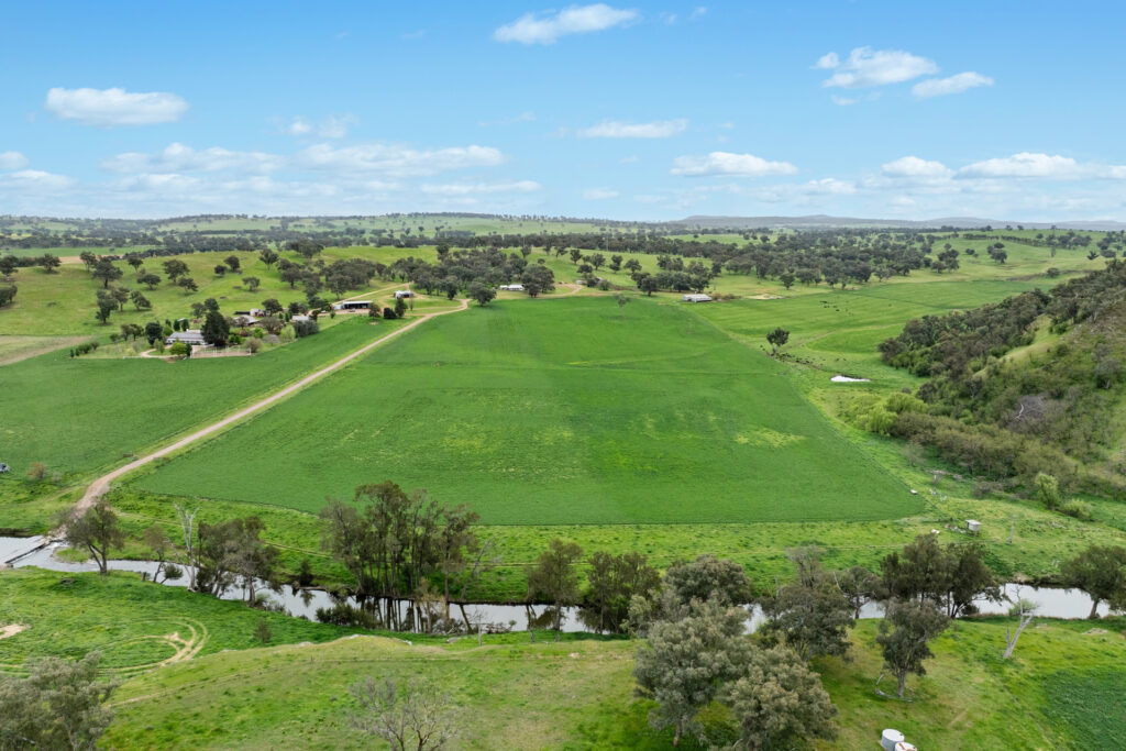 Sold - 5902 Mitchell Highway - New Property in Molong - Real Estate by Scott Petersen