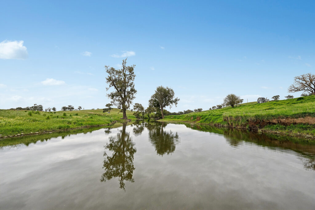 Sold - 5902 Mitchell Highway - New Property in Molong - Real Estate by Scott Petersen