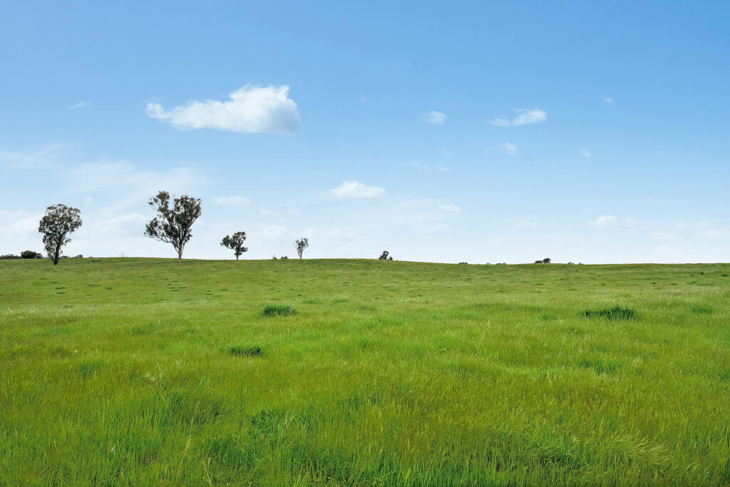 Sold - 5902 Mitchell Highway - New Property in Molong - Real Estate by Scott Petersen