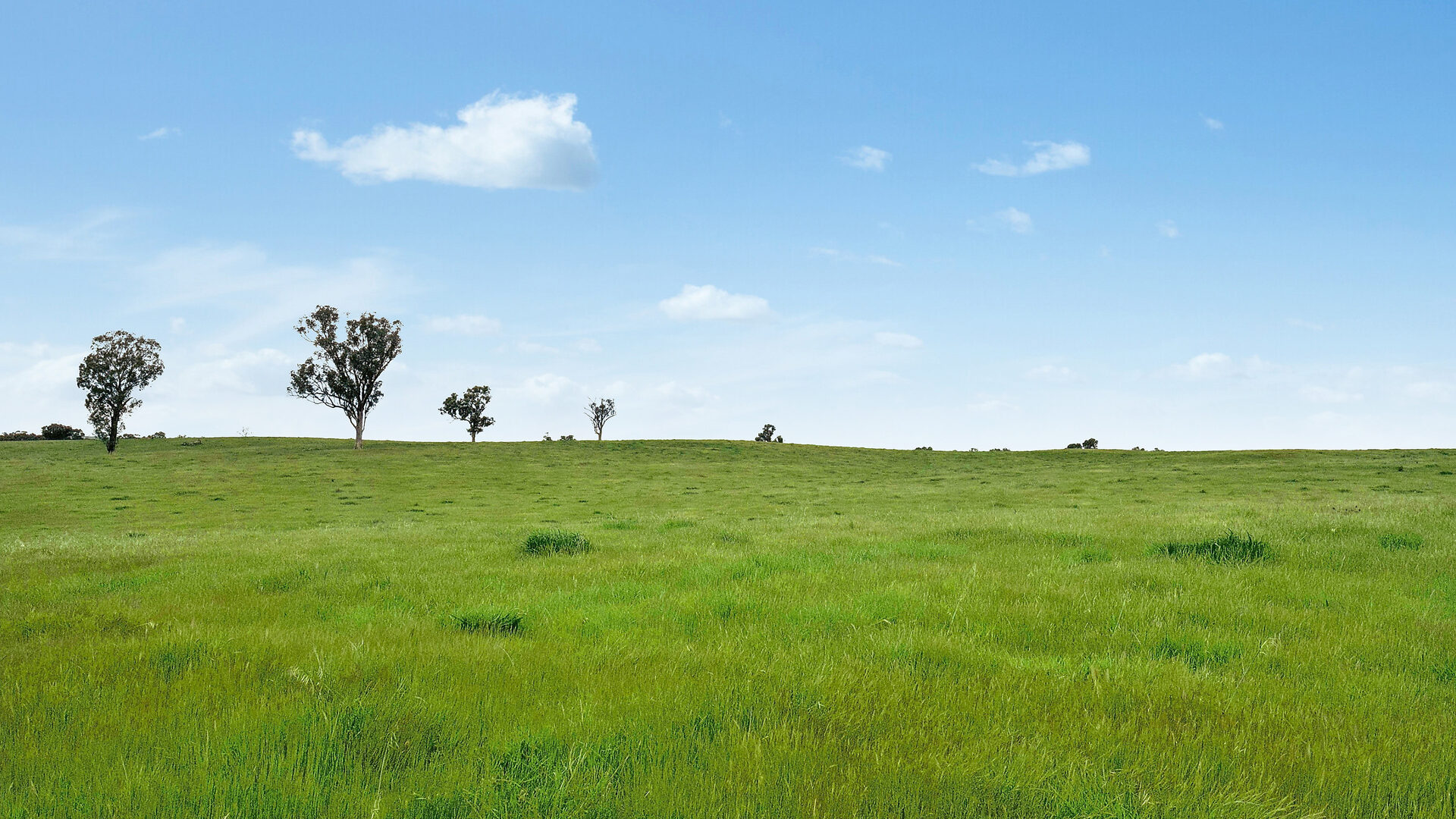 Sold - 5902 Mitchell Highway - New Property in Molong - Real Estate by Scott Petersen