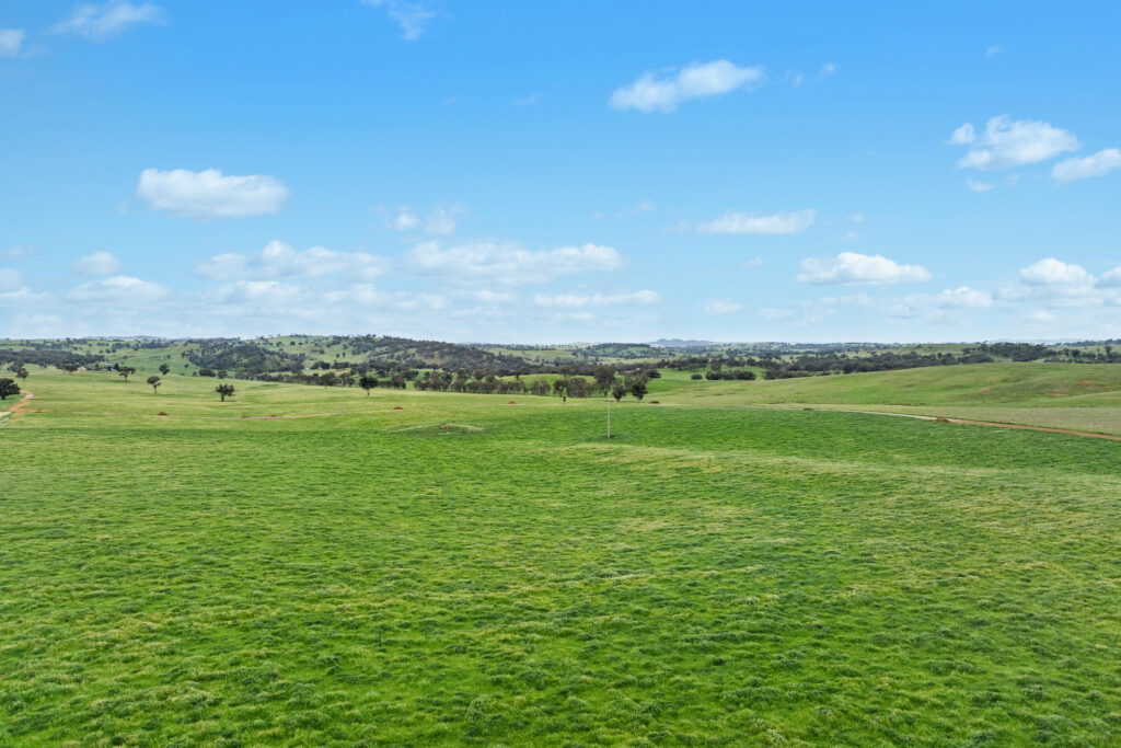 Sold - 5902 Mitchell Highway - New Property in Molong - Real Estate by Scott Petersen