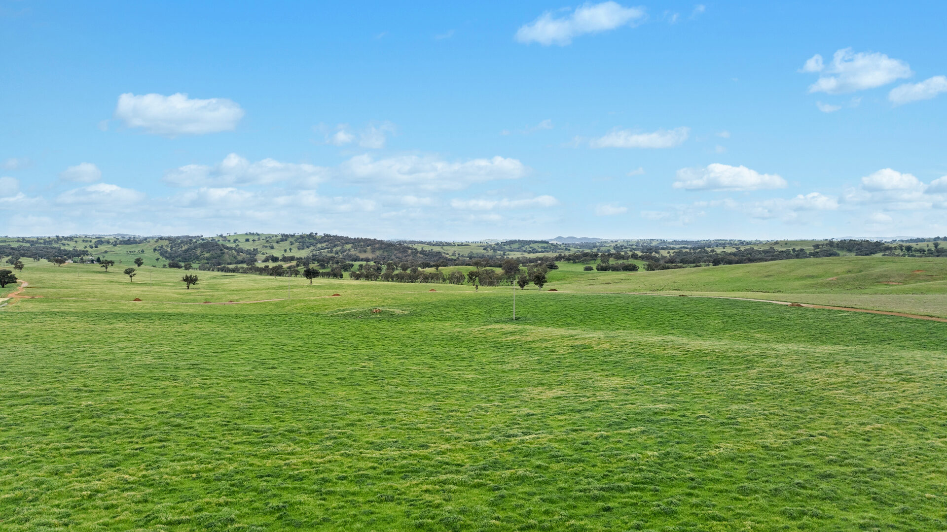 Sold - 5902 Mitchell Highway - New Property in Molong - Real Estate by Scott Petersen