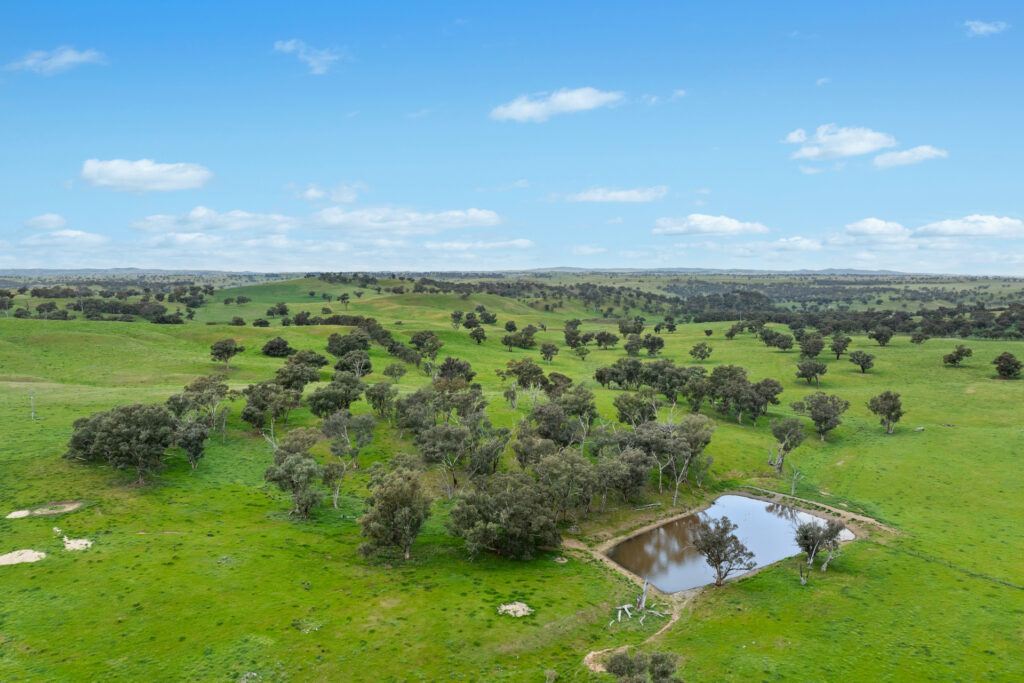 Sold - 5902 Mitchell Highway - New Property in Molong - Real Estate by Scott Petersen