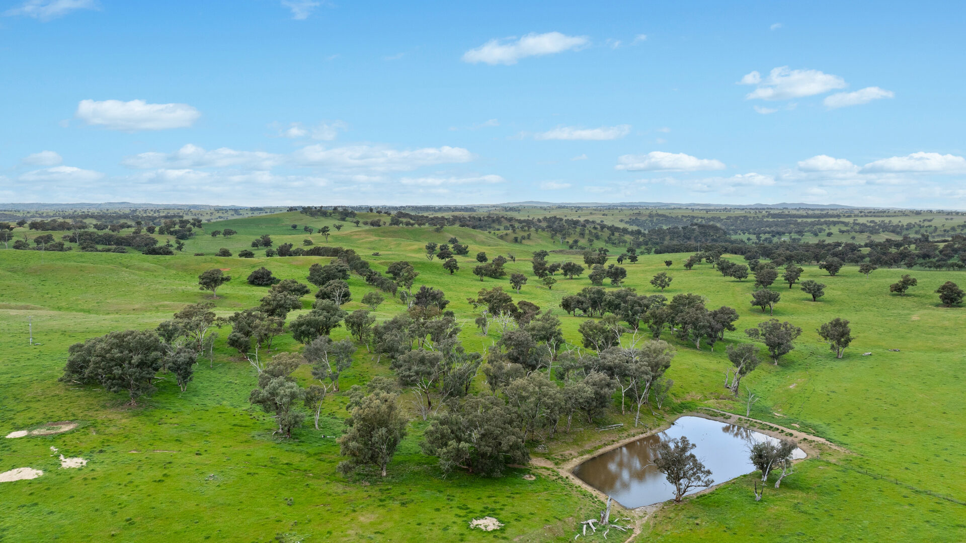 Sold - 5902 Mitchell Highway - New Property in Molong - Real Estate by Scott Petersen