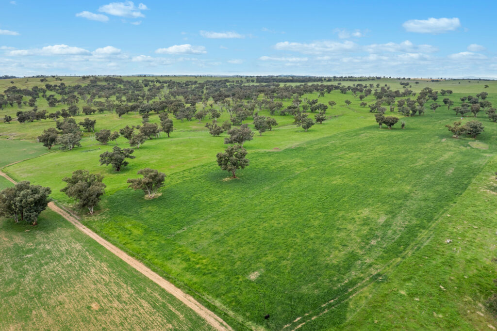 Sold - 5902 Mitchell Highway - New Property in Molong - Real Estate by Scott Petersen