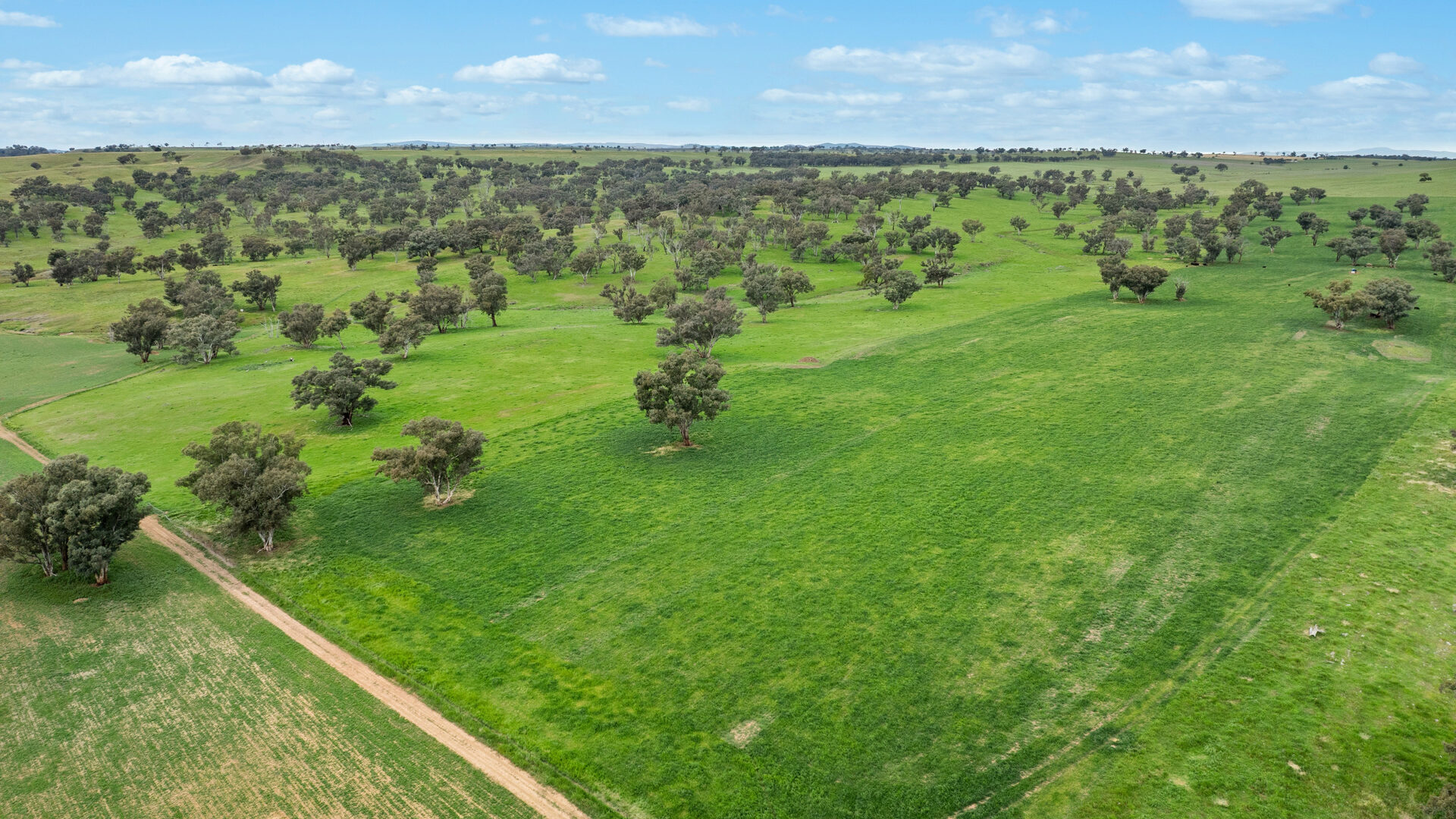 Sold - 5902 Mitchell Highway - New Property in Molong - Real Estate by Scott Petersen