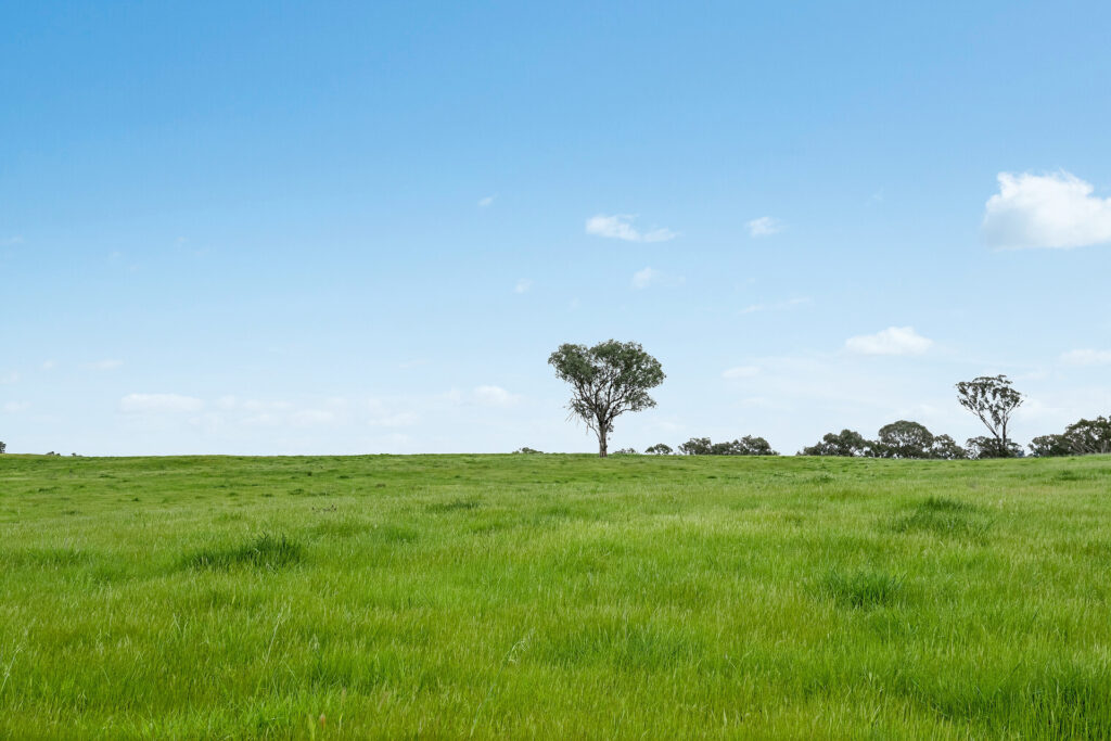 Sold - 5902 Mitchell Highway - New Property in Molong - Real Estate by Scott Petersen