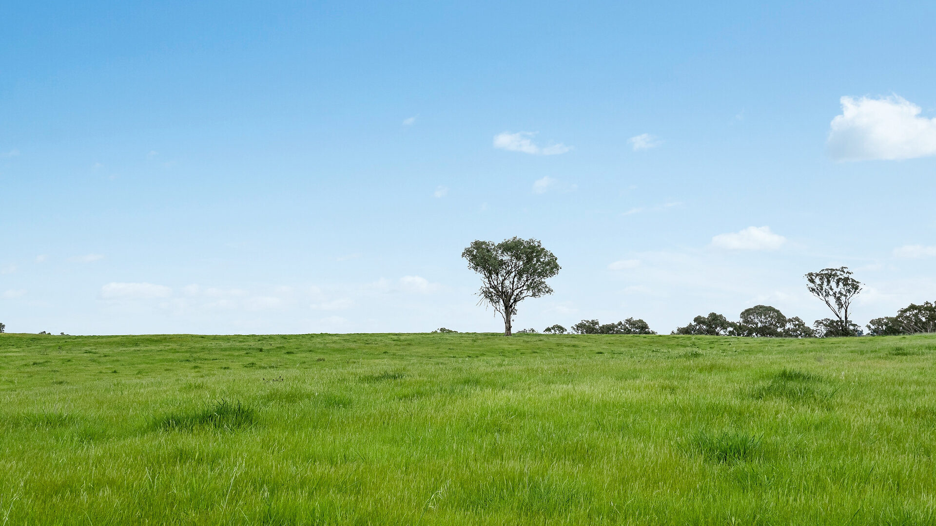 Sold - 5902 Mitchell Highway - New Property in Molong - Real Estate by Scott Petersen