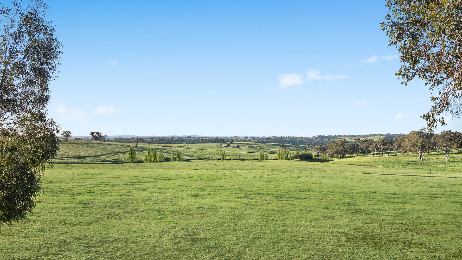 Sold - 248 Paling Yards Loop - New Property in Orange - Real Estate by Josh Fitzgerald