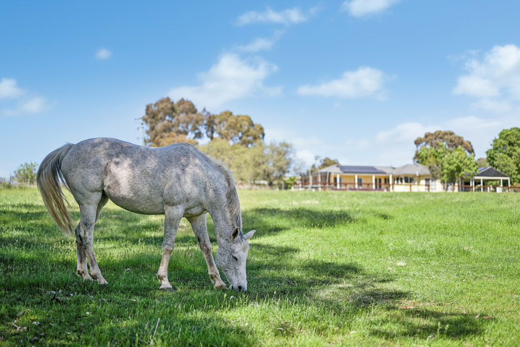 Sold - 248 Paling Yards Loop - New Property in Orange - Real Estate by Josh Fitzgerald