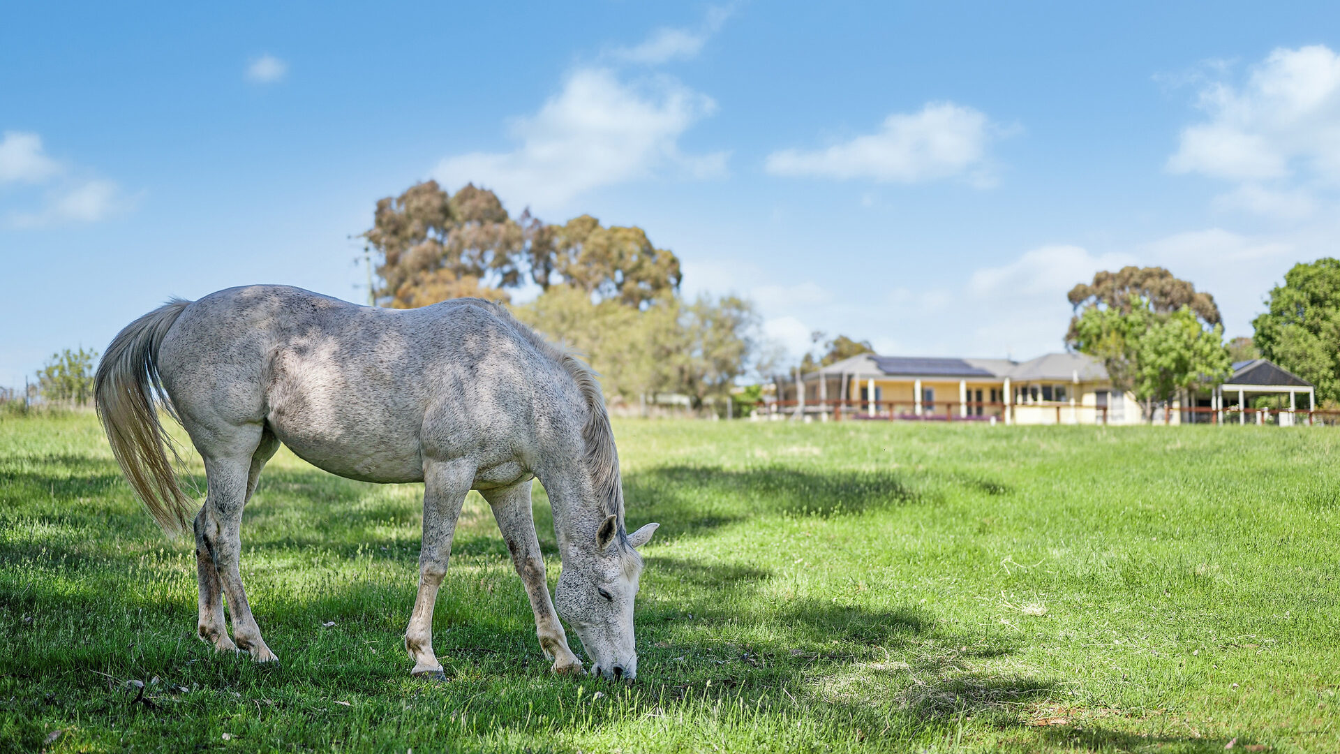 Sold - 248 Paling Yards Loop - New Property in Orange - Real Estate by Josh Fitzgerald