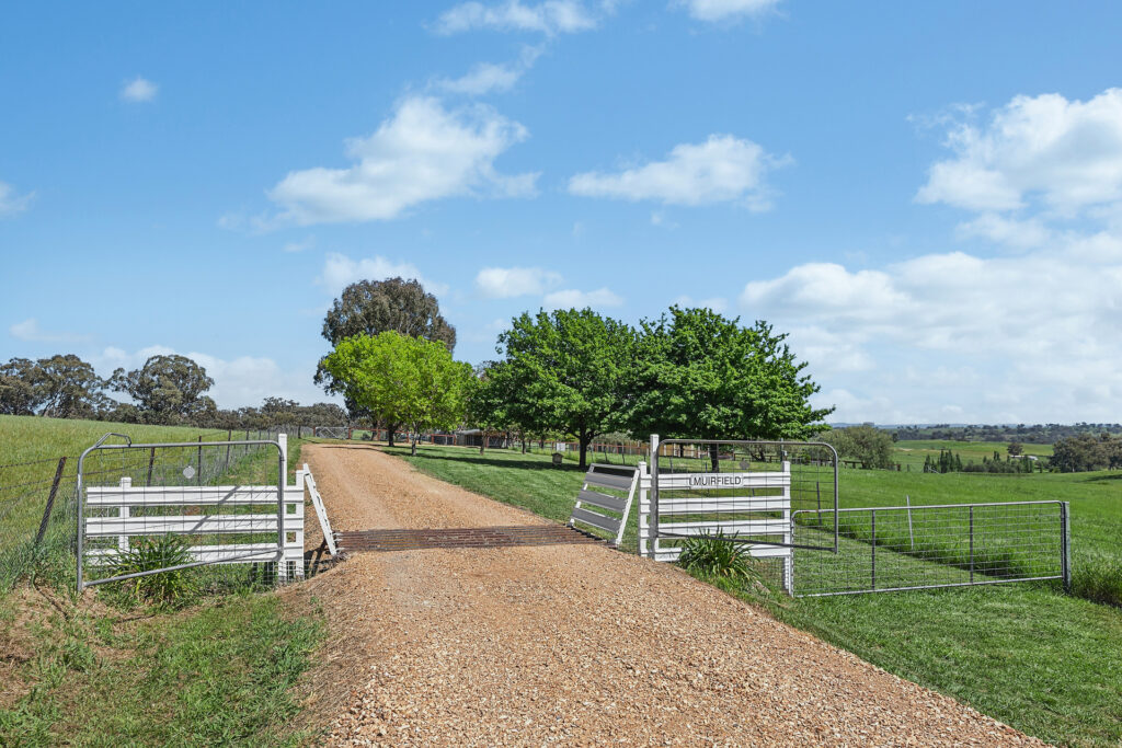 Sold - 248 Paling Yards Loop - New Property in Orange - Real Estate by Josh Fitzgerald