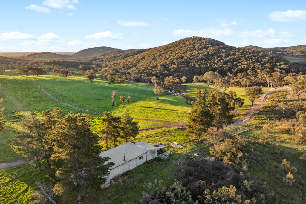 Sold - 358 Belgravia Road - New Property in Orange - Real Estate by Scott Petersen