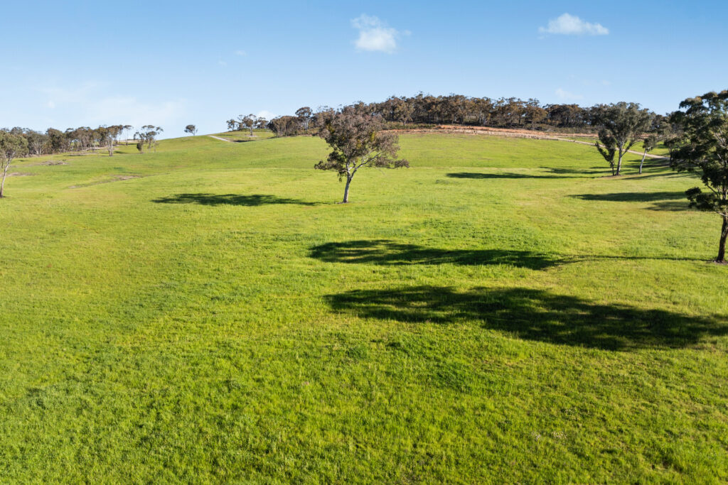Sold - 358 Belgravia Road - New Property in Orange - Real Estate by Scott Petersen