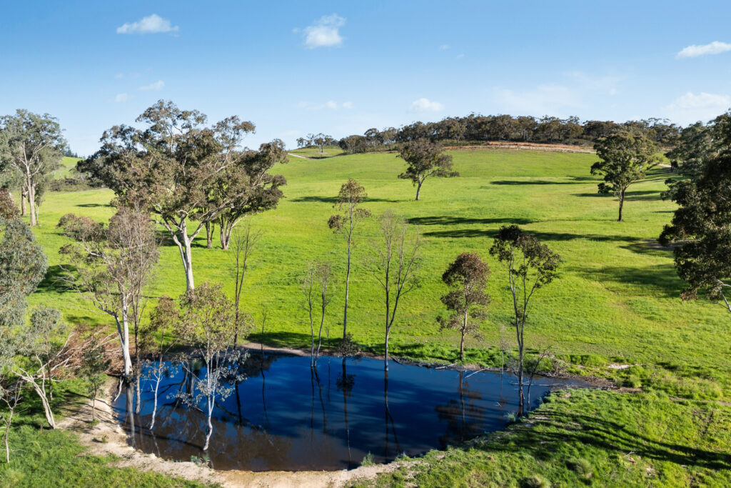 Sold - 358 Belgravia Road - New Property in Orange - Real Estate by Scott Petersen
