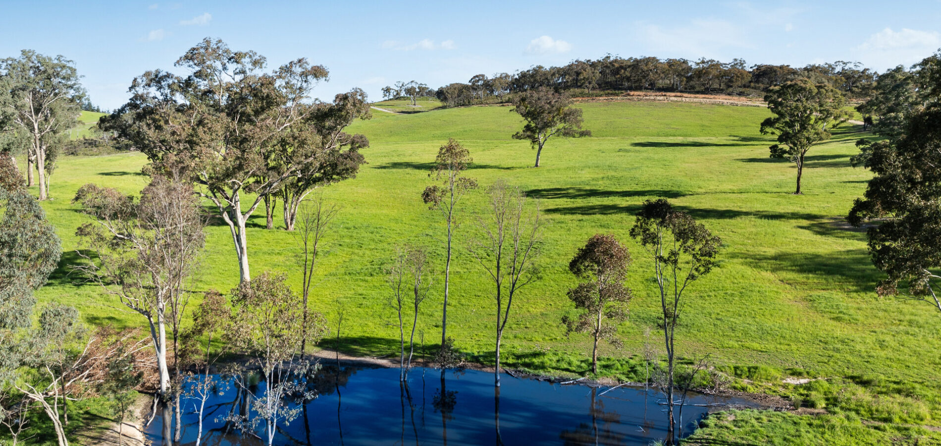 For Sale - 358 Belgravia Road - New Property in Orange - Real Estate by Scott Petersen