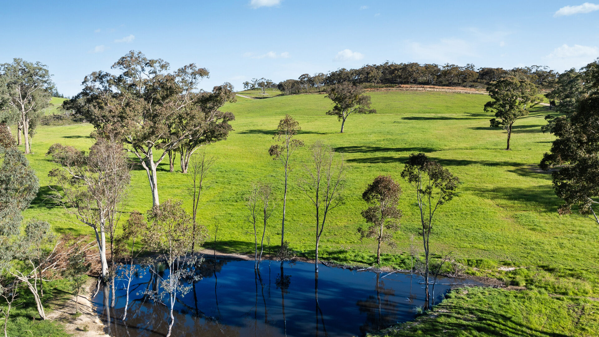 Sold - 358 Belgravia Road - New Property in Orange - Real Estate by Scott Petersen