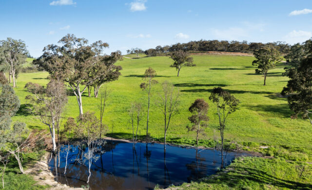 For Sale - 358 Belgravia Road - New Property in Orange - Real Estate by Scott Petersen