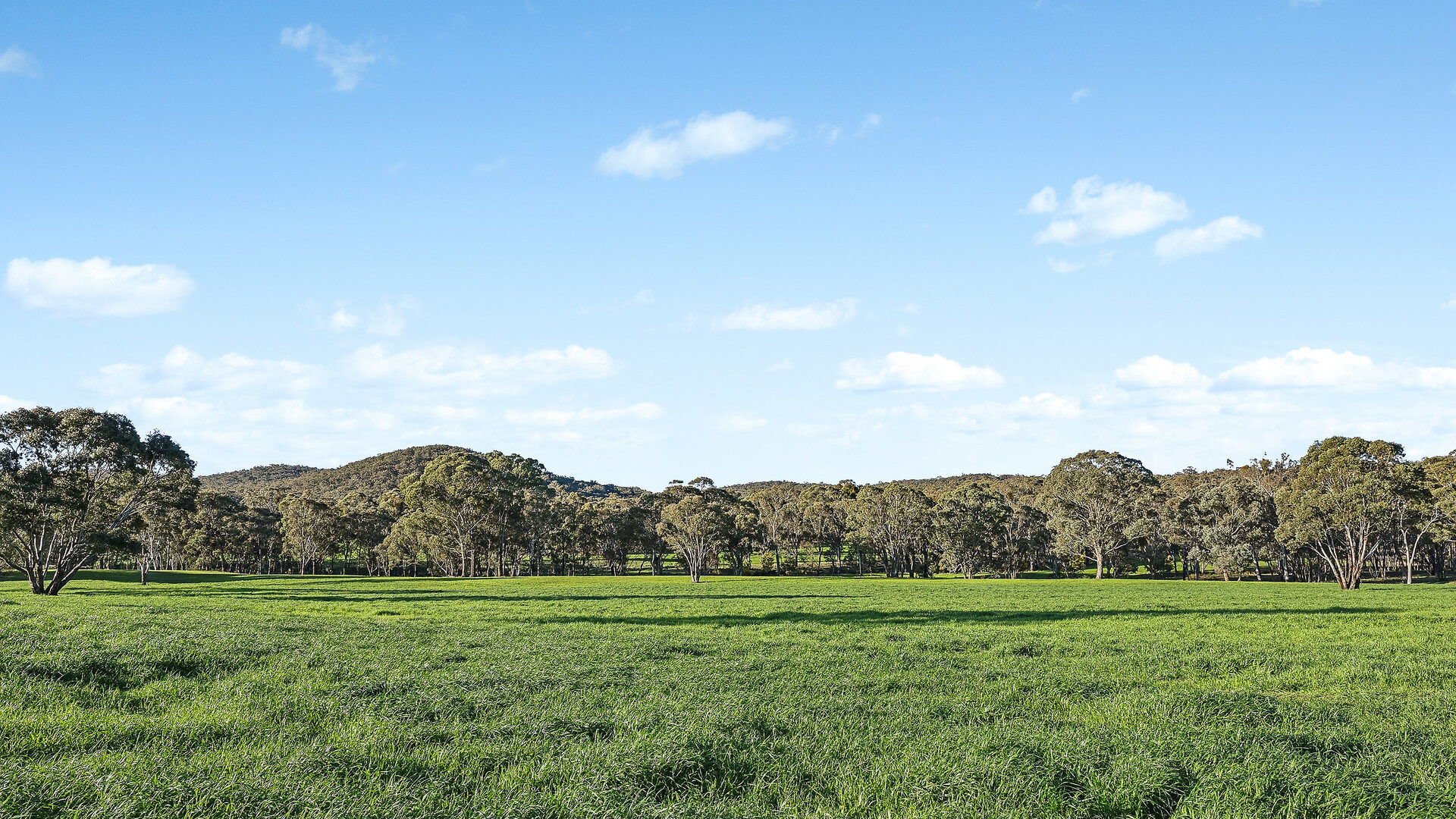 Sold - 358 Belgravia Road - New Property in Orange - Real Estate by Scott Petersen