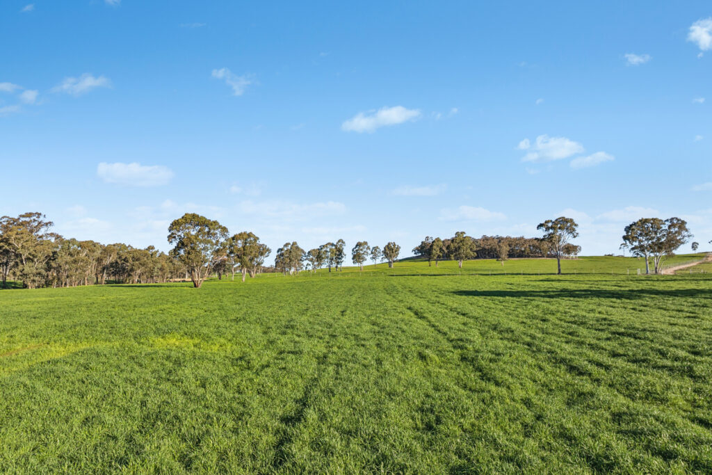 Sold - 358 Belgravia Road - New Property in Orange - Real Estate by Scott Petersen