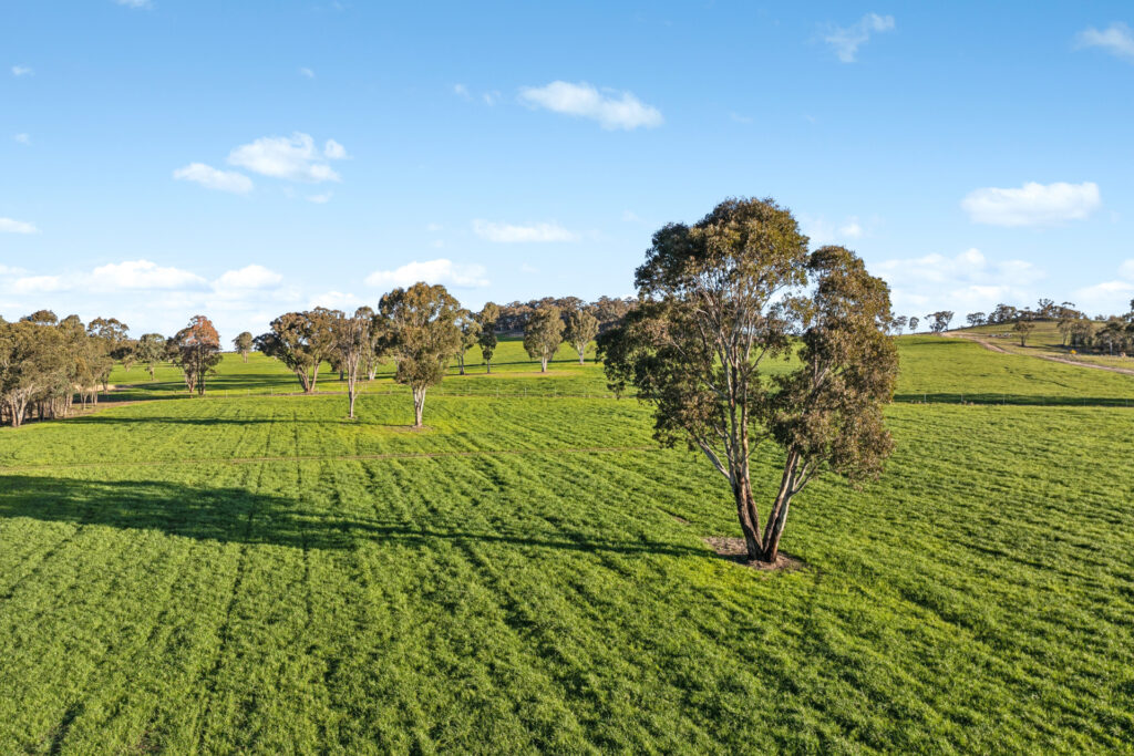 Sold - 358 Belgravia Road - New Property in Orange - Real Estate by Scott Petersen