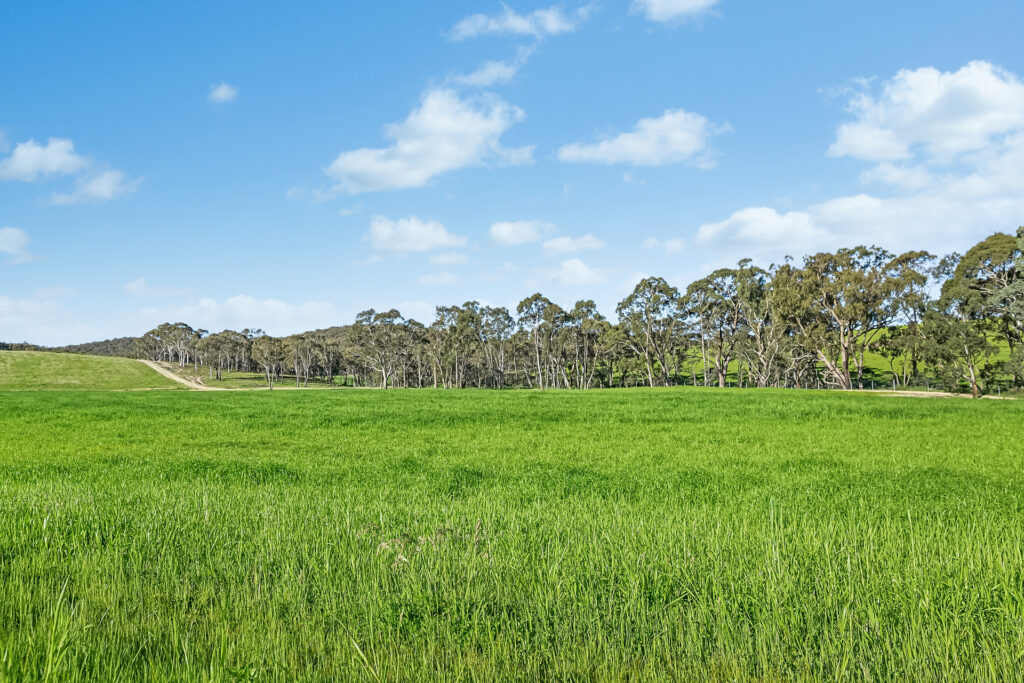 Sold -  Burrendong Way - New Property in Orange - Real Estate by Scott Petersen