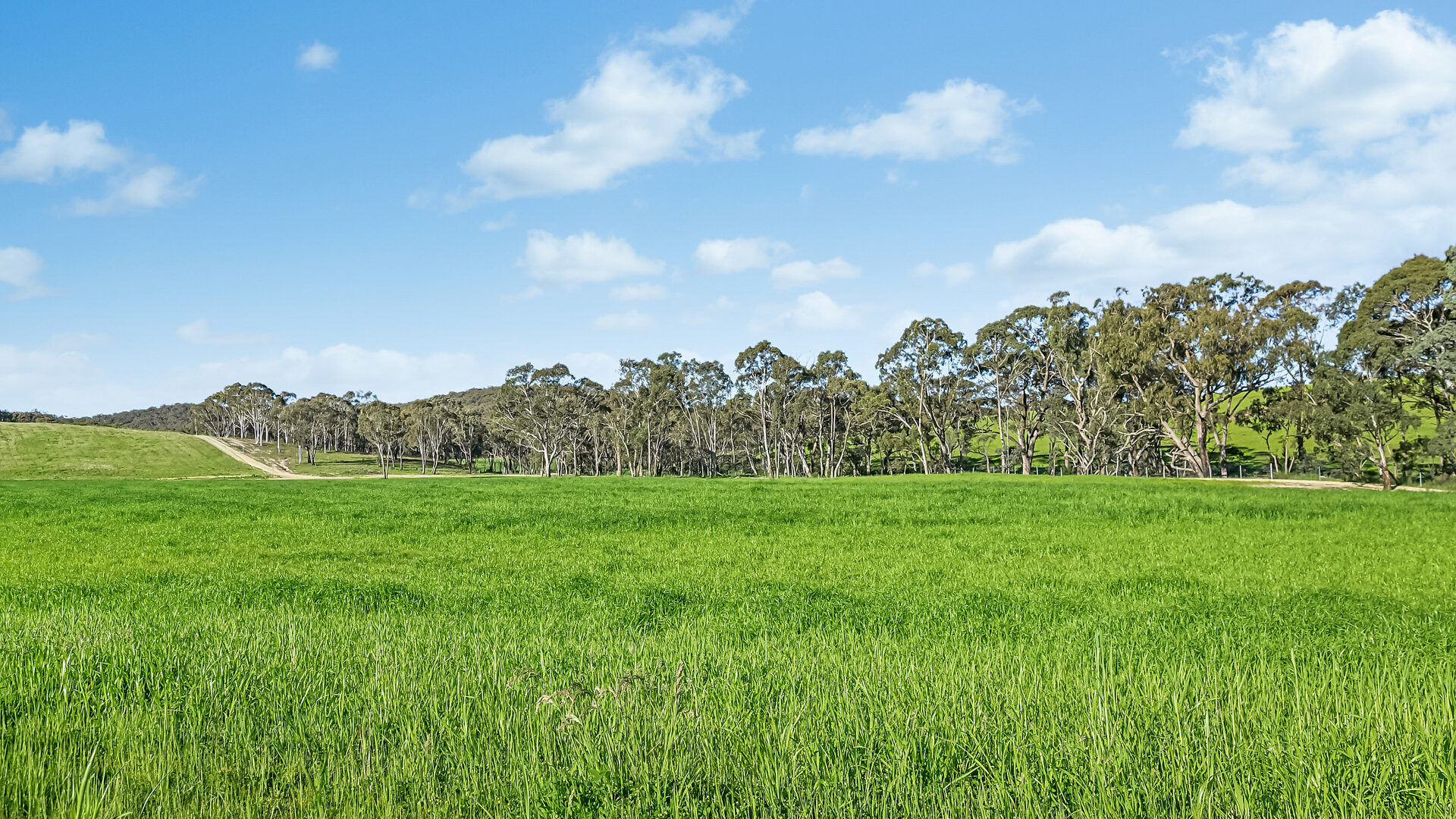 Sold -  Burrendong Way - New Property in Orange - Real Estate by Scott Petersen