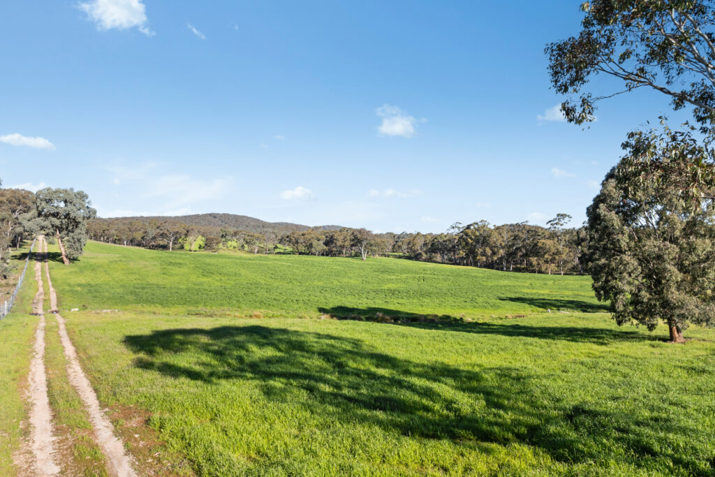 Sold -  Burrendong Way - New Property in Orange - Real Estate by Scott Petersen