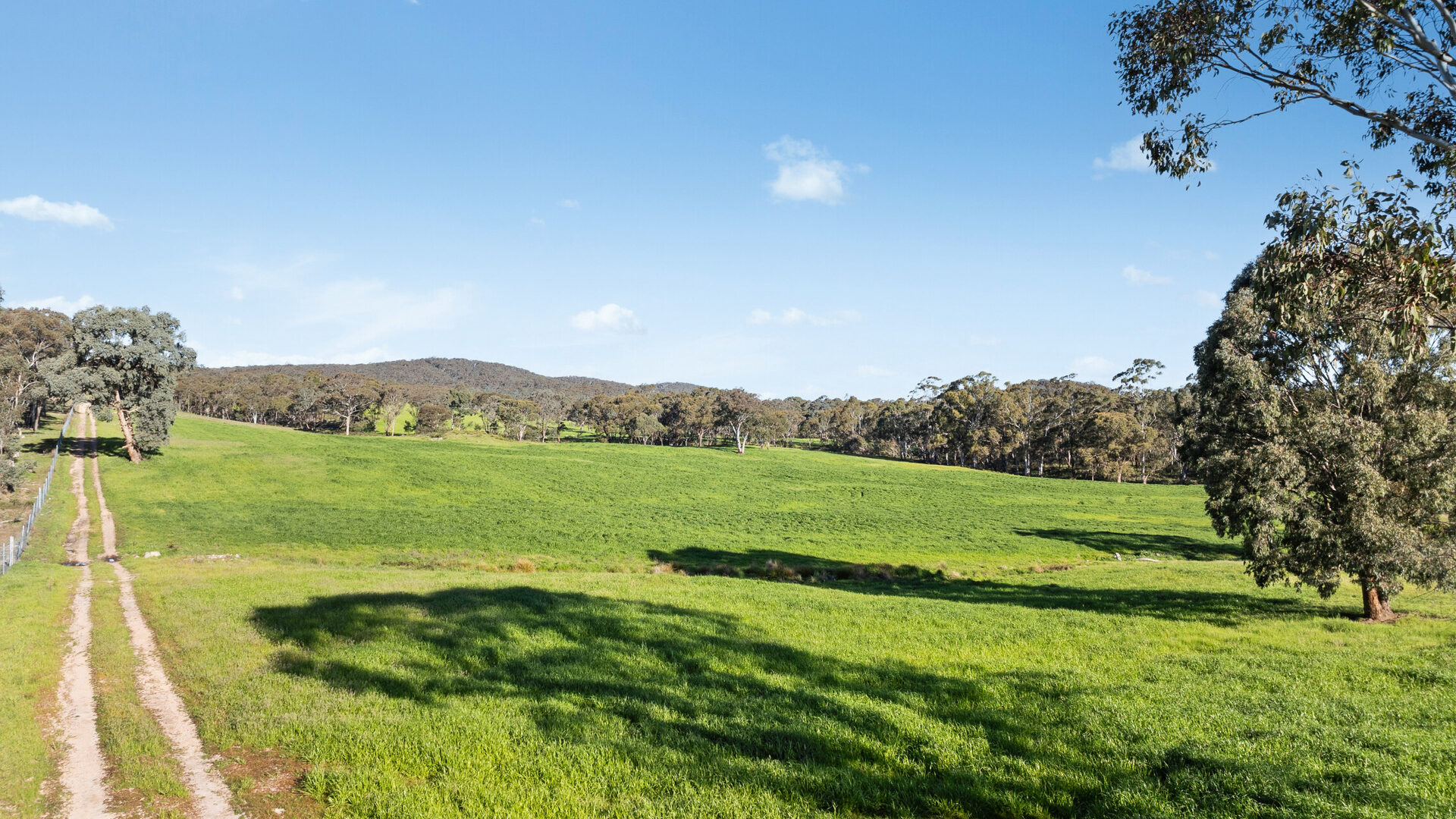 Sold -  Burrendong Way - New Property in Orange - Real Estate by Scott Petersen