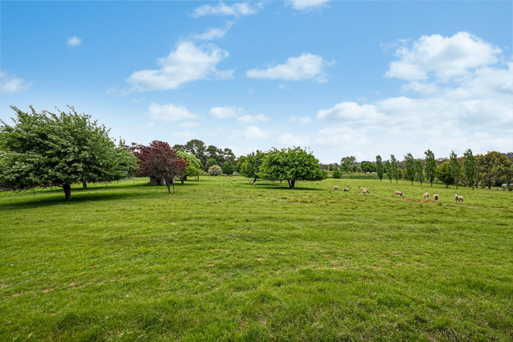 For Sale - 2 Cherrywood Close - New Property in Orange - Real Estate by Josh Fitzgerald