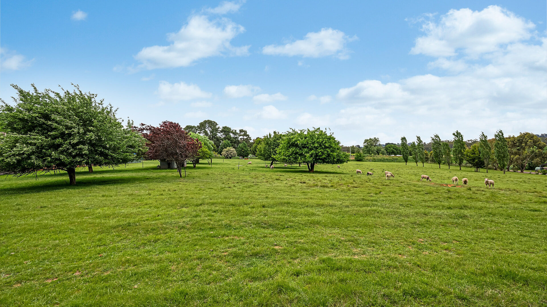 For Sale - 2 Cherrywood Close - New Property in Orange - Real Estate by Josh Fitzgerald