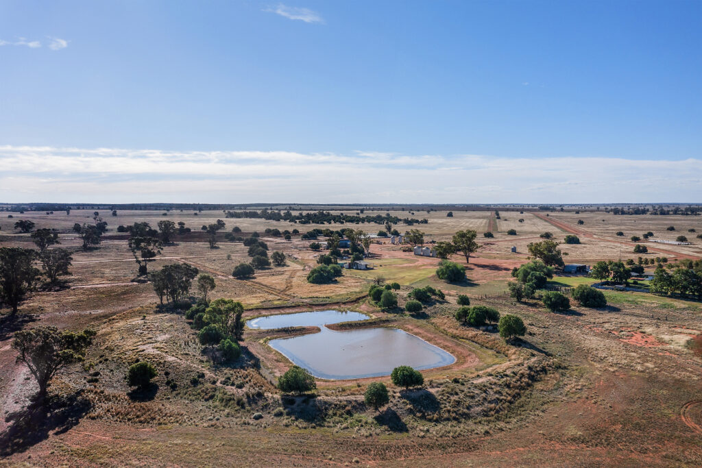 For Sale - 4229 Bobadah Road - New Property in Bobadah - Real Estate by Scott Petersen