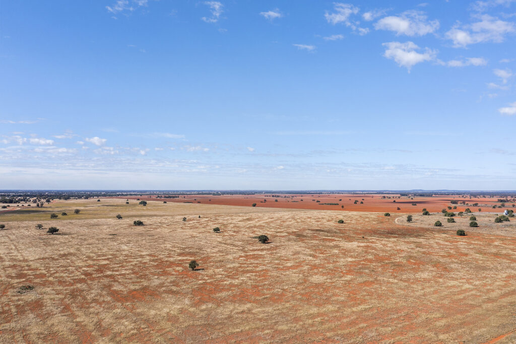 For Sale - 4229 Bobadah Road - New Property in Bobadah - Real Estate by Scott Petersen