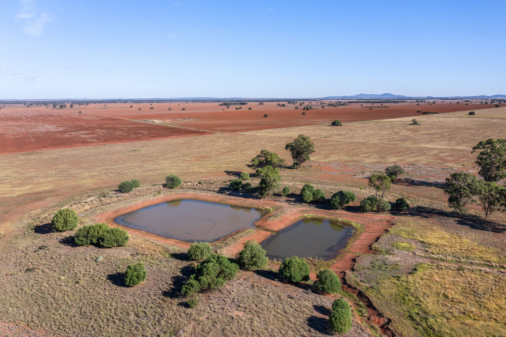 For Sale - 4229 Bobadah Road - New Property in Bobadah - Real Estate by Scott Petersen