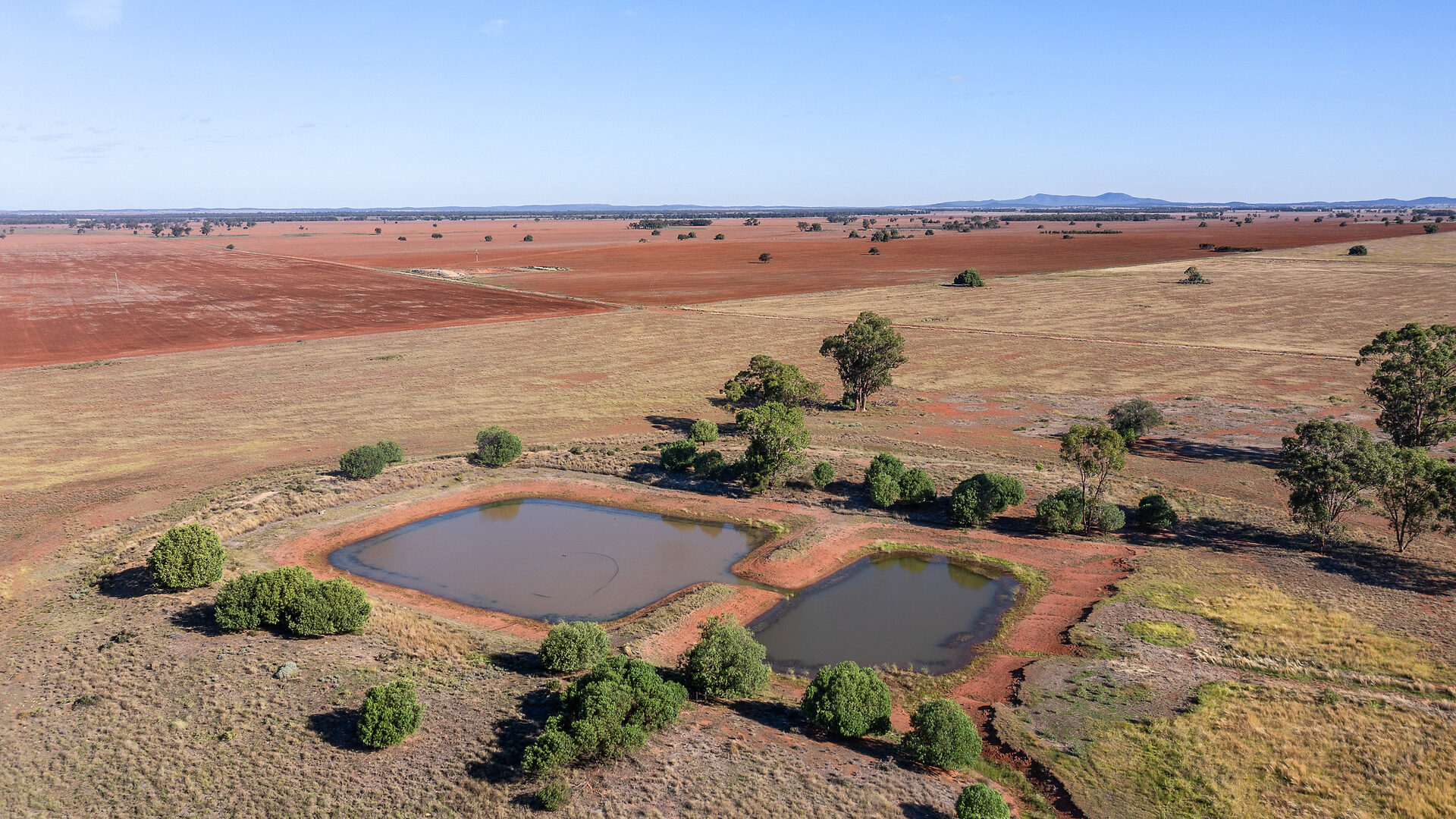 For Sale - 4229 Bobadah Road - New Property in Bobadah - Real Estate by Scott Petersen