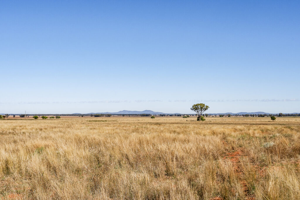 For Sale - 4229 Bobadah Road - New Property in Bobadah - Real Estate by Scott Petersen