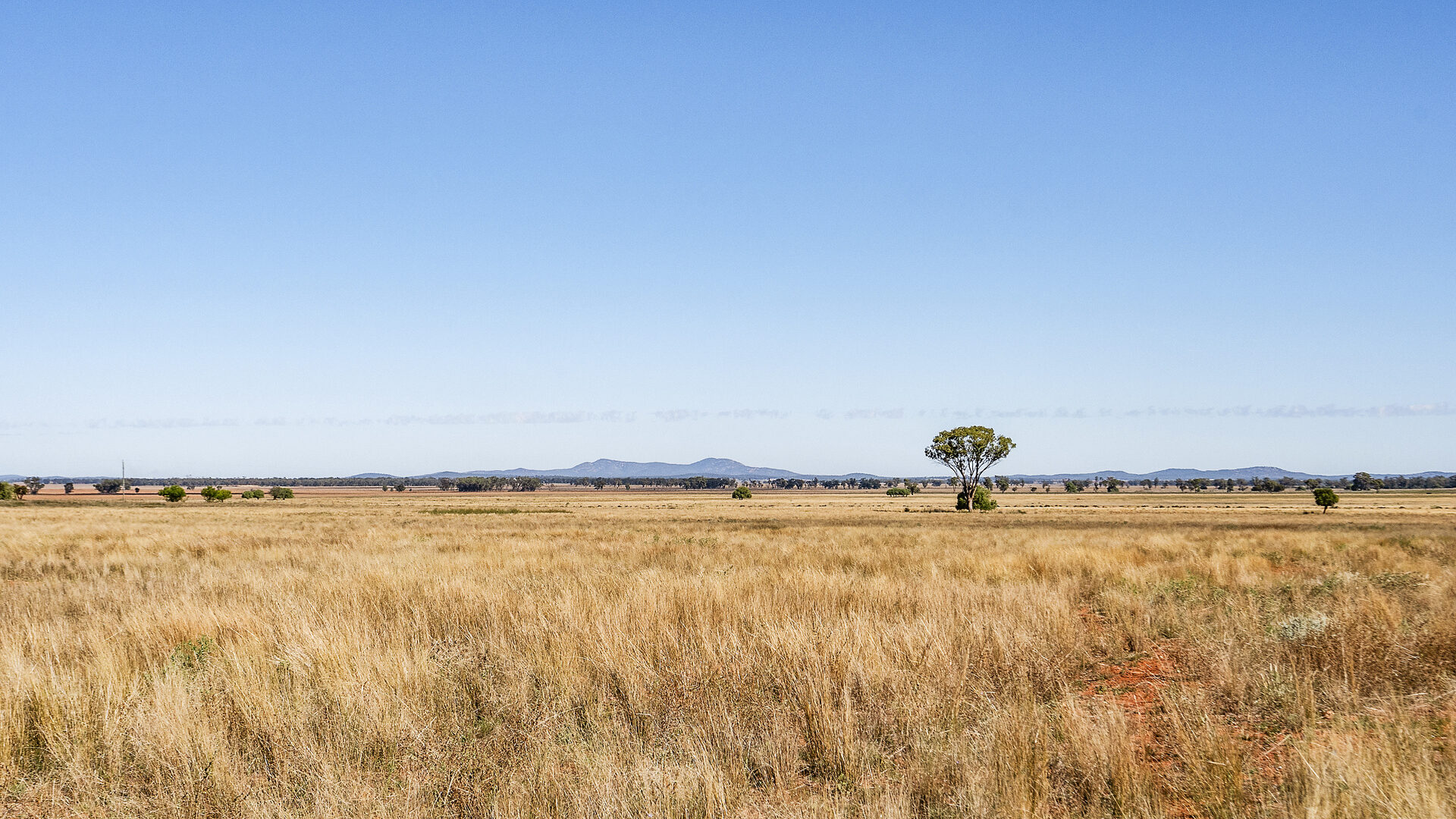 For Sale - 4229 Bobadah Road - New Property in Bobadah - Real Estate by Scott Petersen