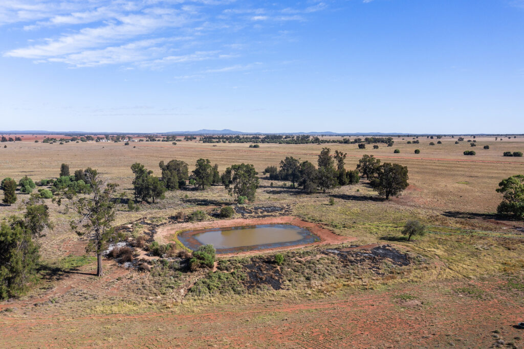 For Sale - 4229 Bobadah Road - New Property in Bobadah - Real Estate by Scott Petersen