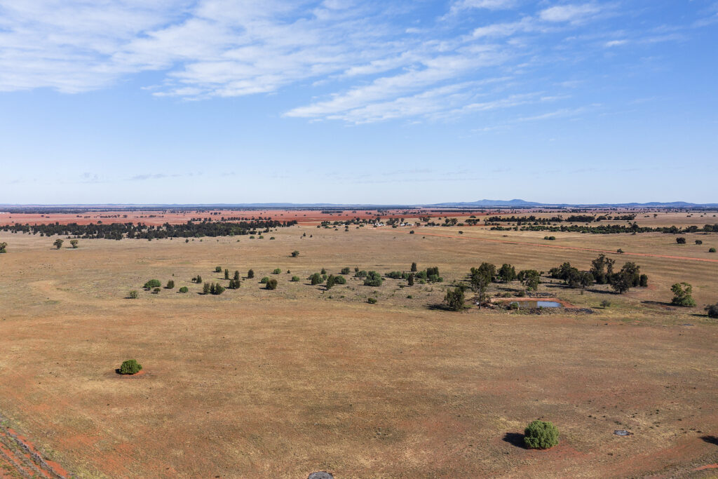 For Sale - 4229 Bobadah Road - New Property in Bobadah - Real Estate by Scott Petersen